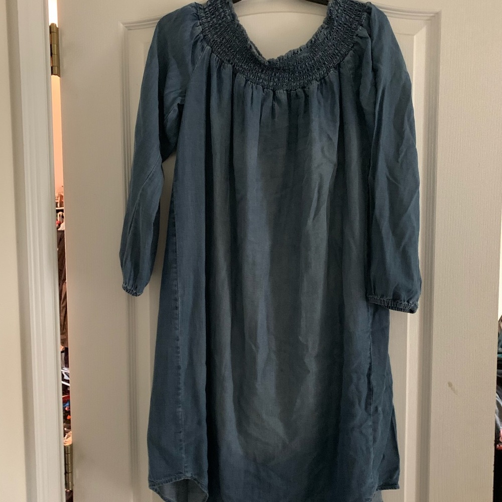 Denim Maternity Dress